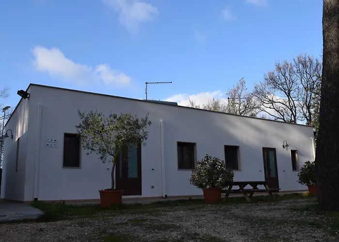 Villaggio Camping Bosco Selva