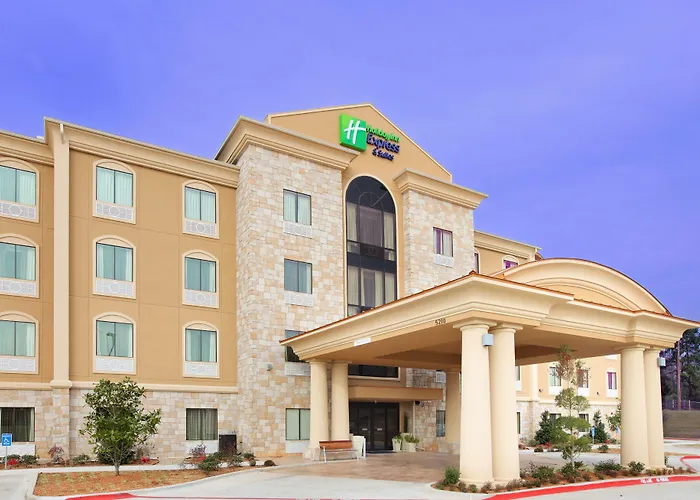 Holiday Inn Express Hotel & Suites Texarkana East By Ihg