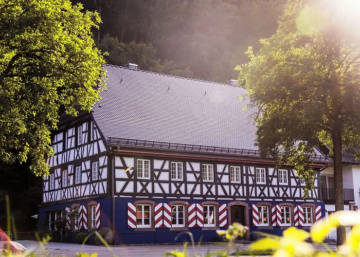 Schwarzwaldgasthof Hotel Schlossmühle