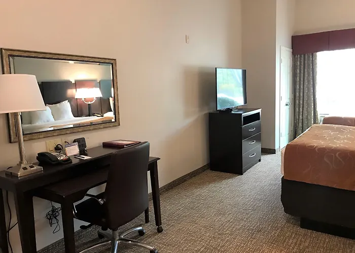 Comfort Suites Bay City East