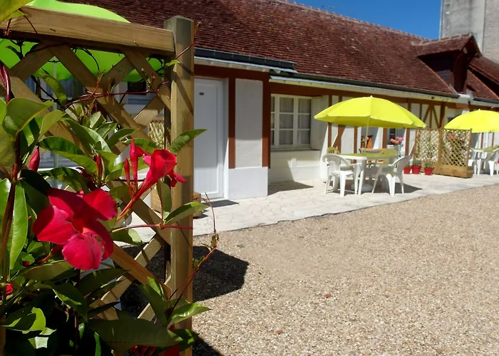 Logis Hotel Du Cygne