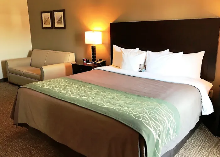 Comfort Inn & Suites Porter Near Indiana Dunes