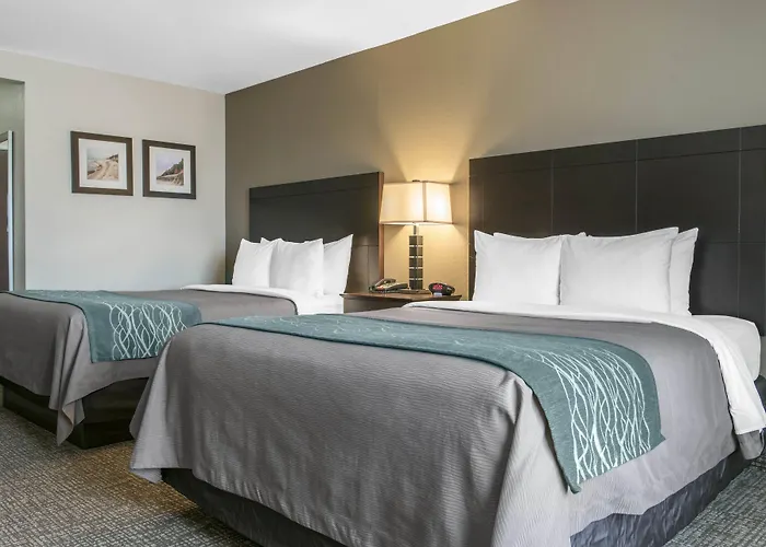 Comfort Inn & Suites Porter Near Indiana Dunes