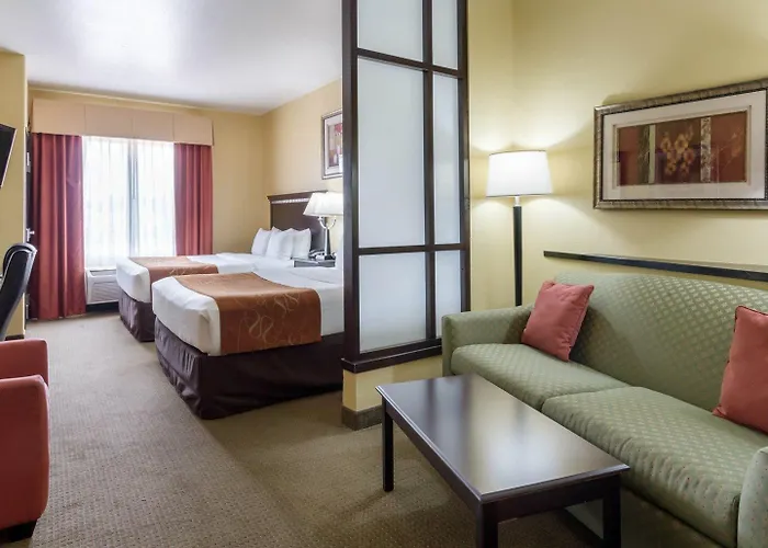 Comfort Suites Palestine