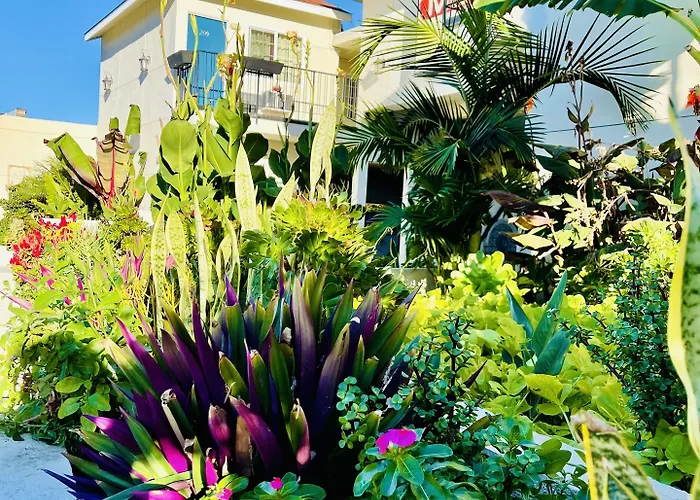 Villa Serena
