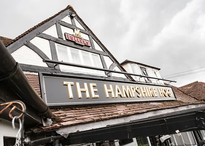 The Hampshire Hog