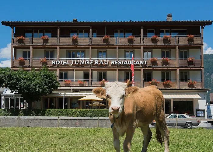 Jungfrau Hotel