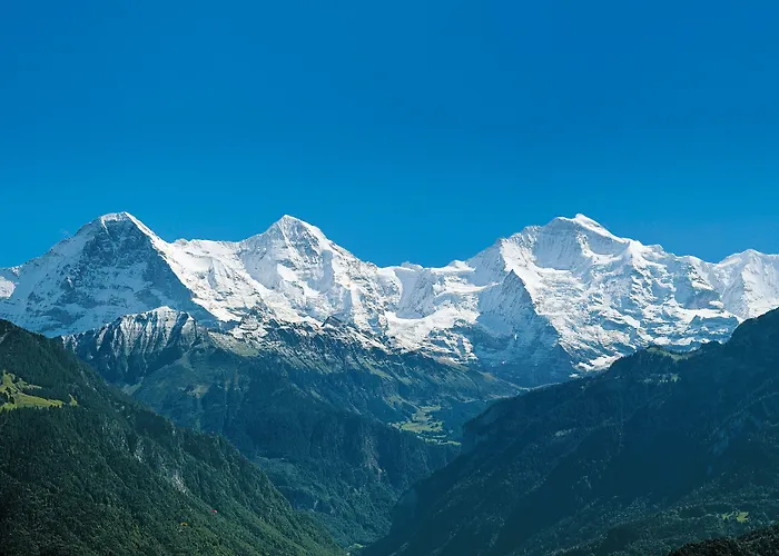 Jungfrau Hotel