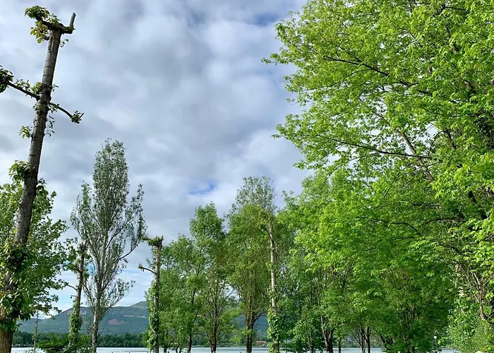 Camping Point Vert