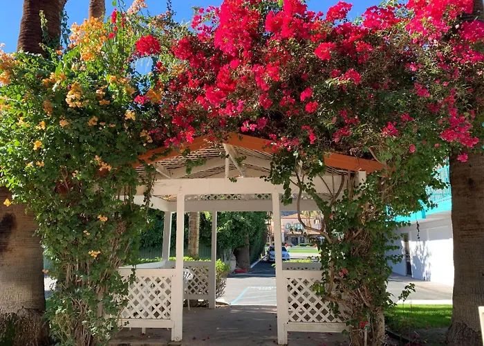 Adara Palm Springs
