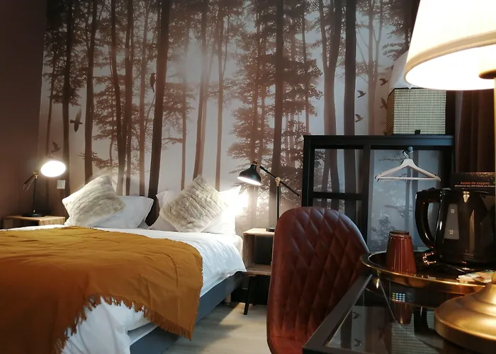 Hotel Du Cygne Tours