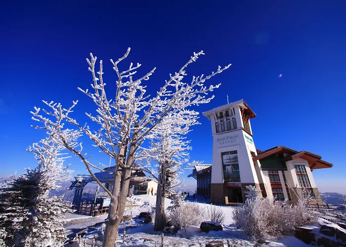 Mona Yongpyong Hotel