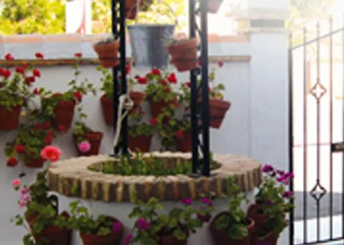 Hotel Cortijo Los Gallos