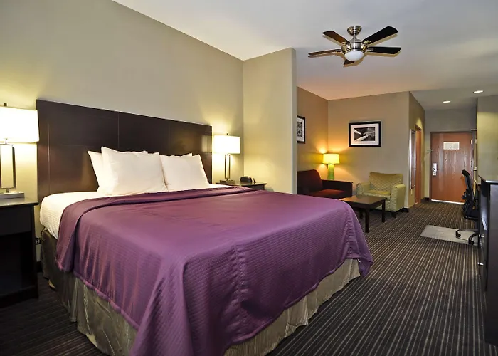 Best Western Giddings Inn & Suites