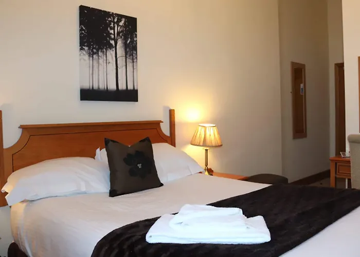 The City Hotel