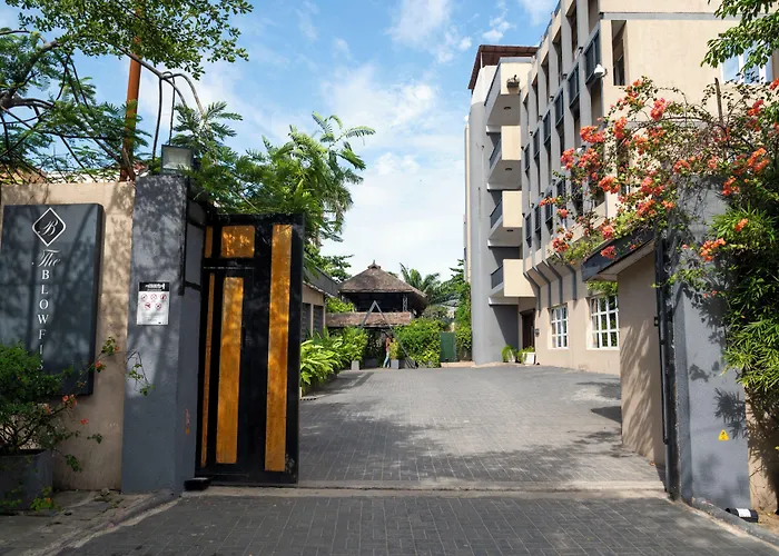 The Blowfish Hotel