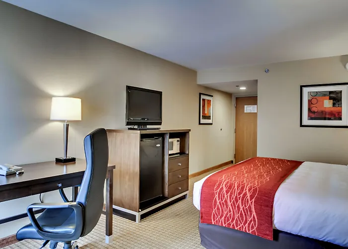 Quality Inn & Suites Bel Air I-95 Exit 77A