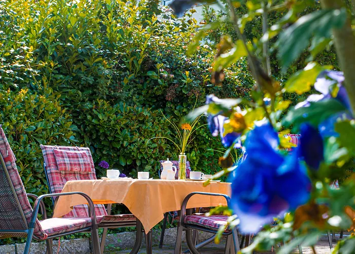 Kishotel Am Kurpark