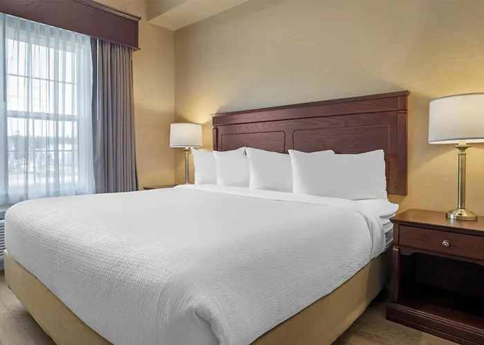 Best Western Plus Fredericton Hotel & Suites