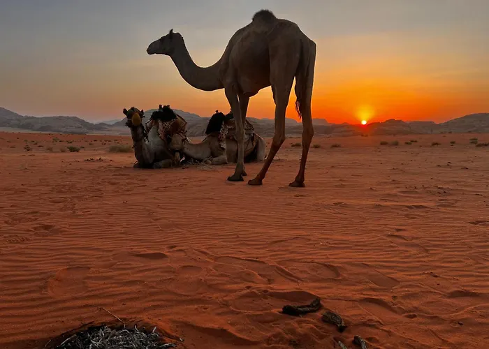 Wadi Rum Sky Tours & Camp