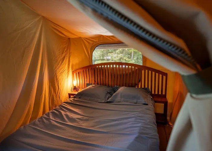 Flower Camping La Steniole