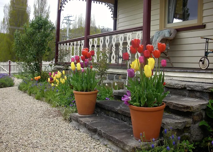 Cambridge House B&B
