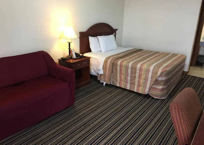 Huggy Bear Motel - Warren