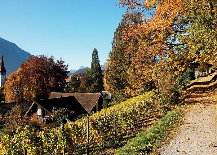Alpine-Inn by Jungfrau Hotel