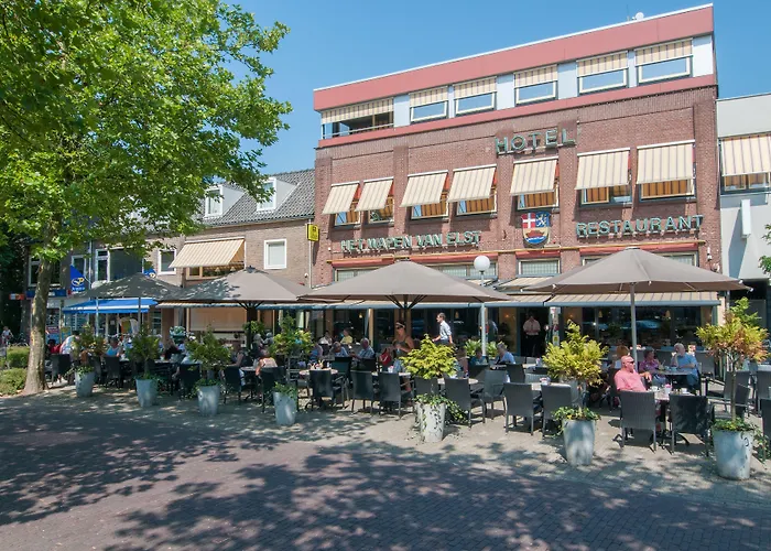 Het Wapen Van Elst