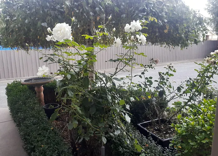 City Gardens Motel