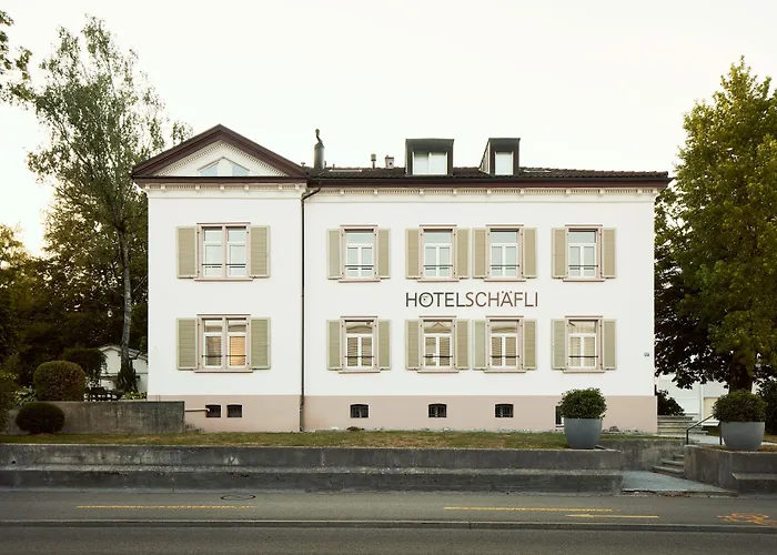 Hotel Schaefli