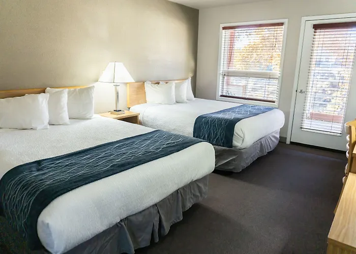 Absaroka Lodge