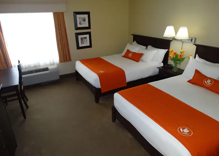 Amsterdam Inn & Suites Sussex, An Ascend Collection Hotel
