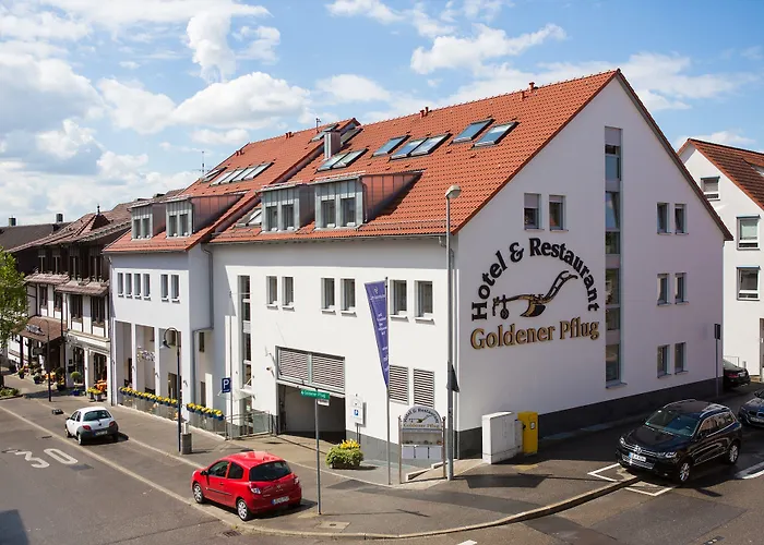 Hotel & Restaurant Goldener Pflug