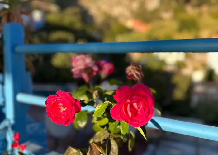 Usha Guest House