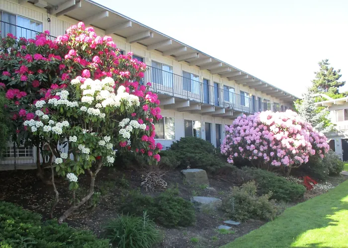 Cocusa Motel