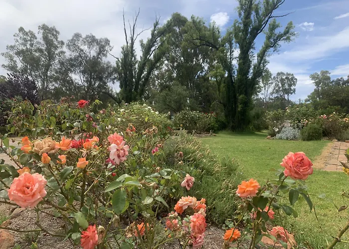 Newell Motor Inn Narrandera