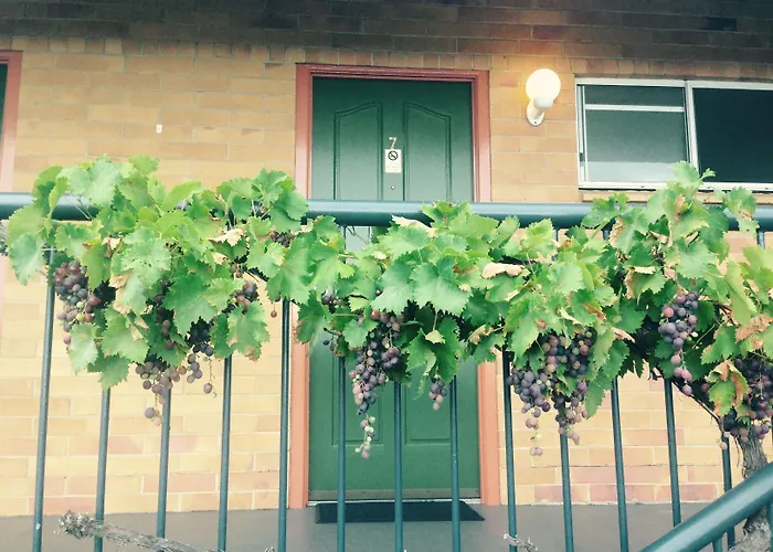 The Vines Motel & Cottages