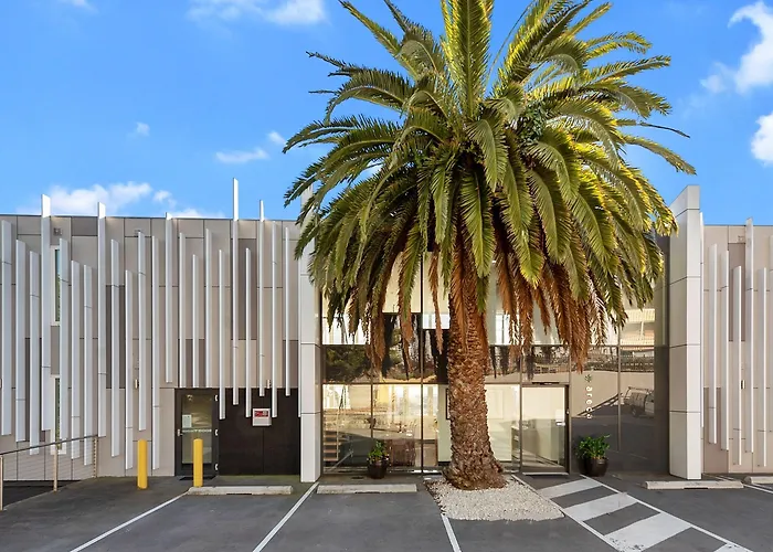 Areca Launceston