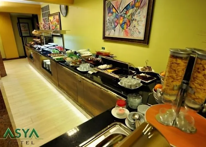 Asya Hotel