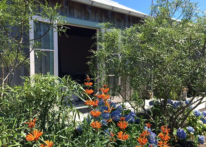 Mangawhai Chalets