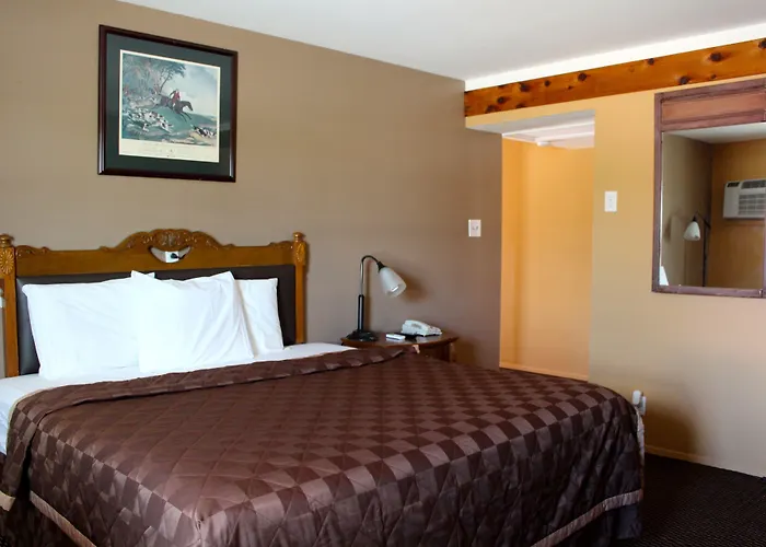 Executive Inn Goliad