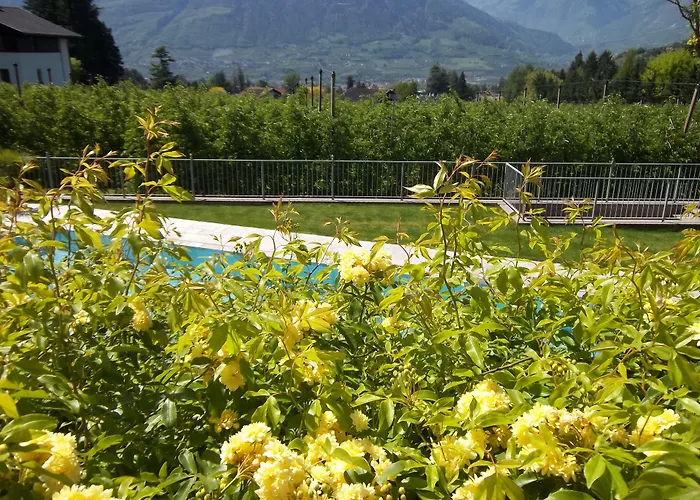 Hotel Pension Verdorfer