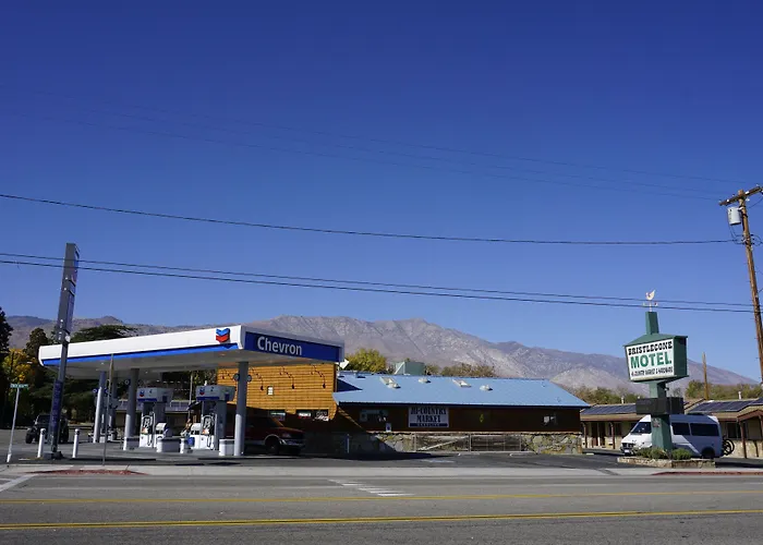 Bristlecone Motel