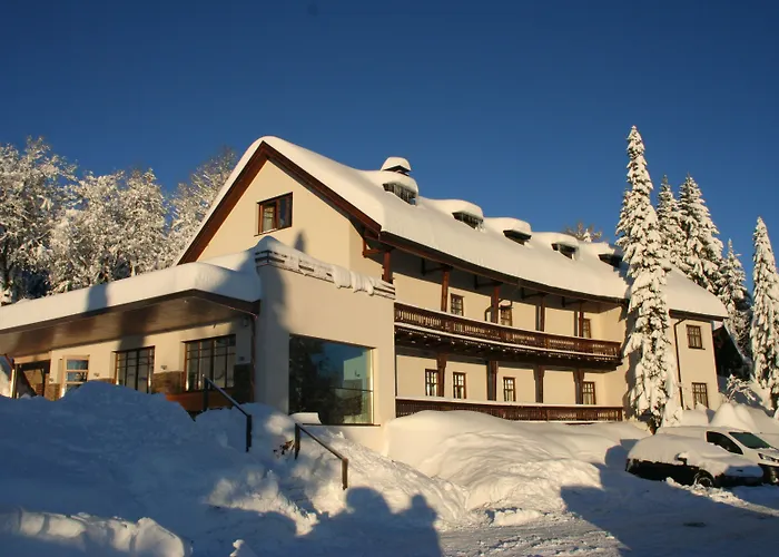 Boedele Alpenhotel