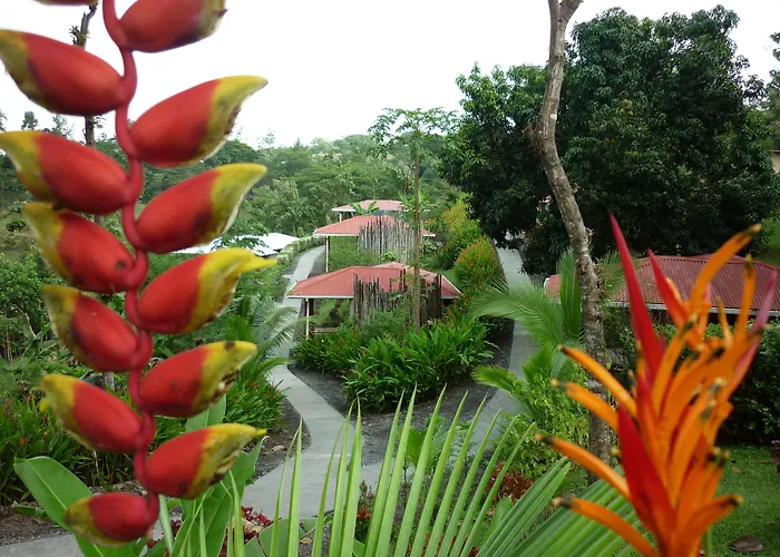 Hotel Cerro Lodge