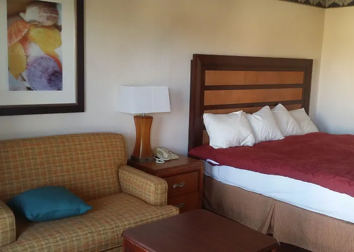 Studio 9 Inn & Suites