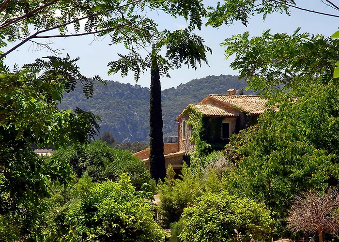 Sa Vall Valldemossa