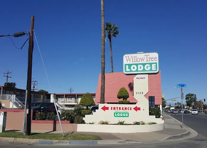 Willow Tree Lodge