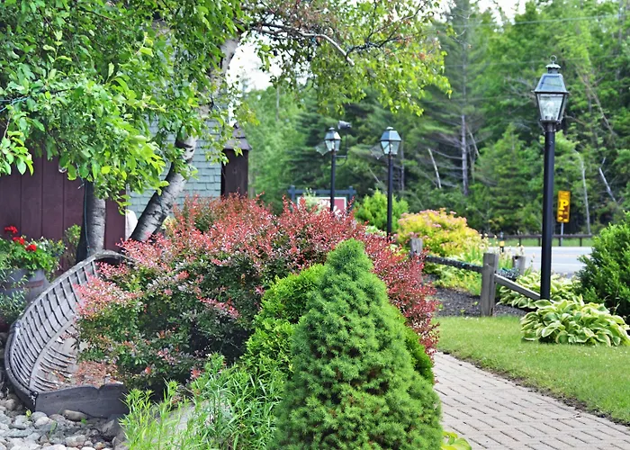 Hungry Trout Resort
